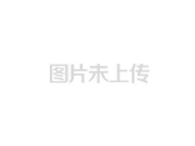 1Z-31双轮耕整机